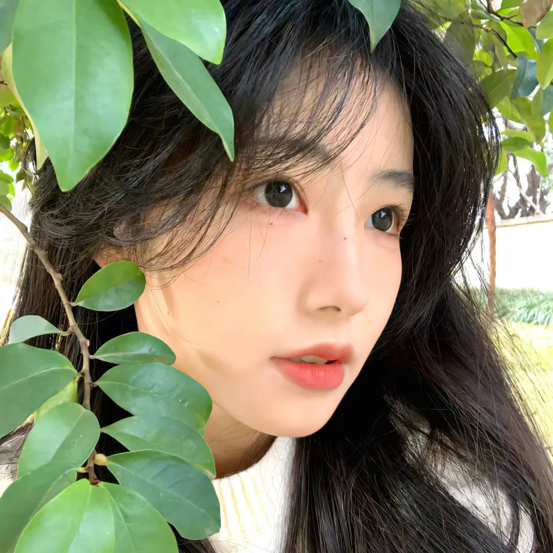 太太的江湖